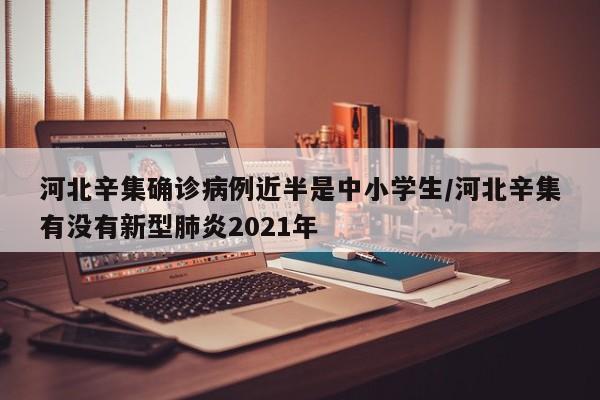 河北辛集确诊病例近半是中小学生/河北辛集有没有新型肺炎2021年
